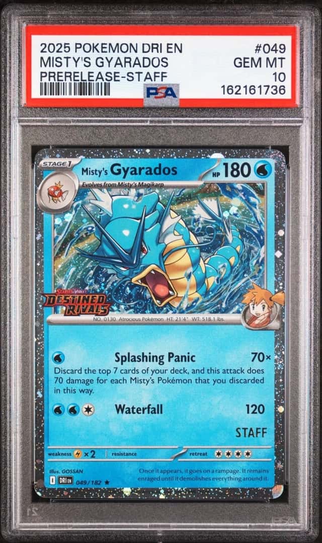 Misty's Gyarados