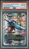 M Sharpedo Ex