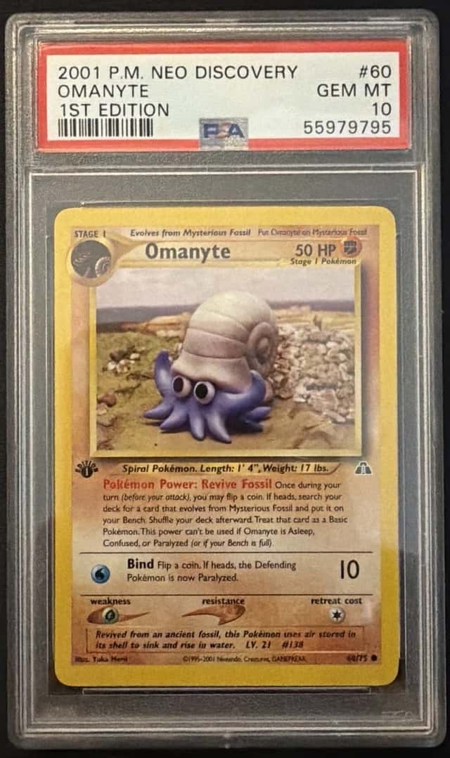 Omanyte