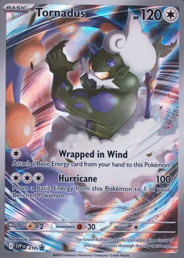 Box Elite Trainer