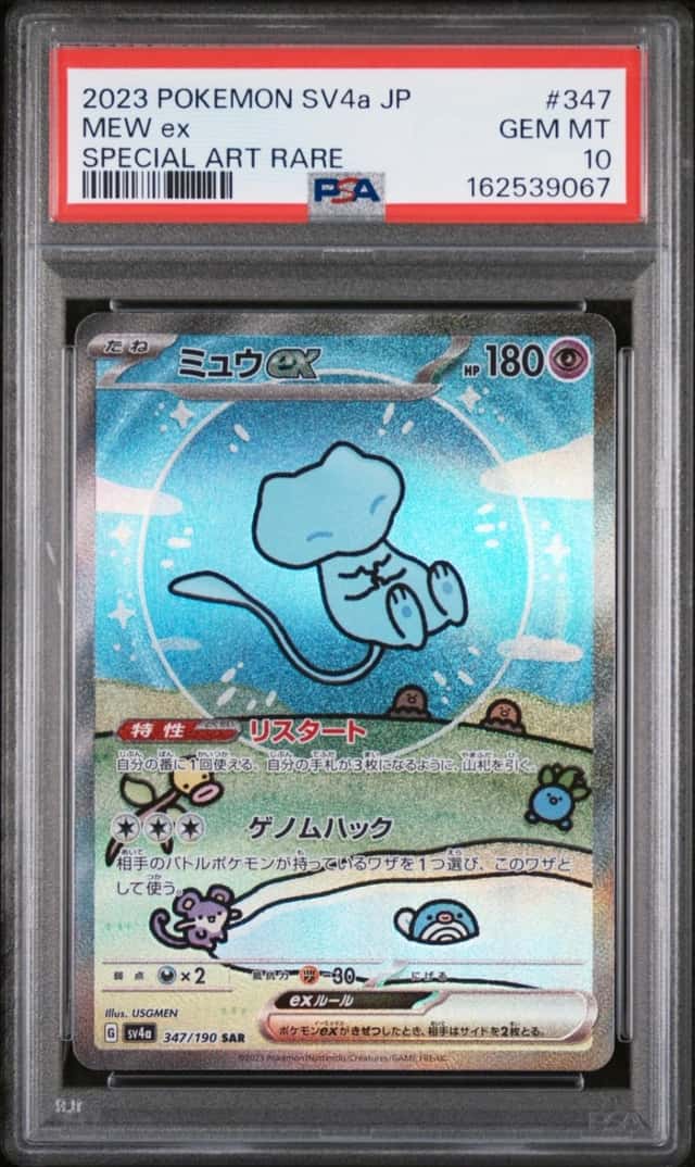 MEW ex