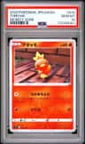 Torchic