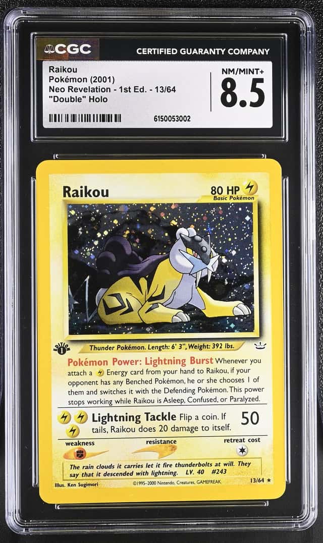 Raikou