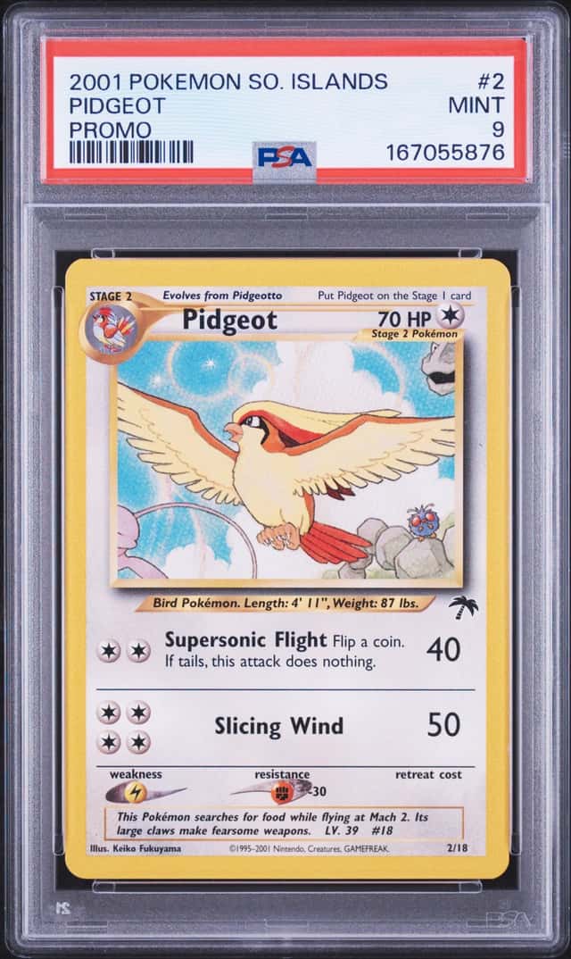 Pidgeot