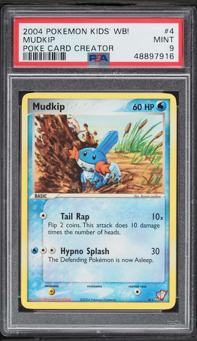 Mudkip