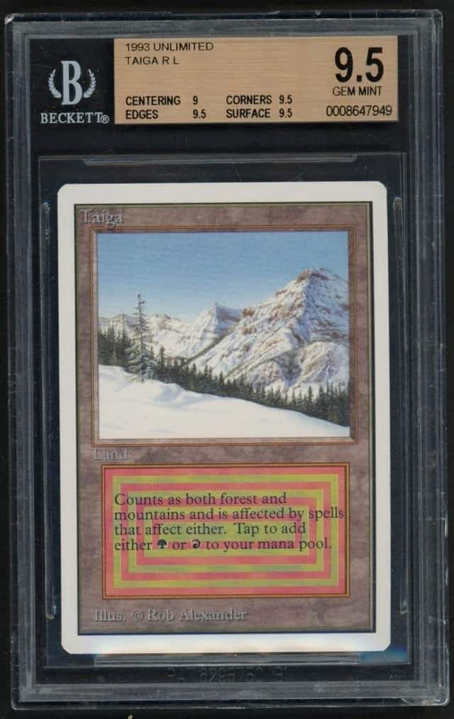 Taiga R :L: