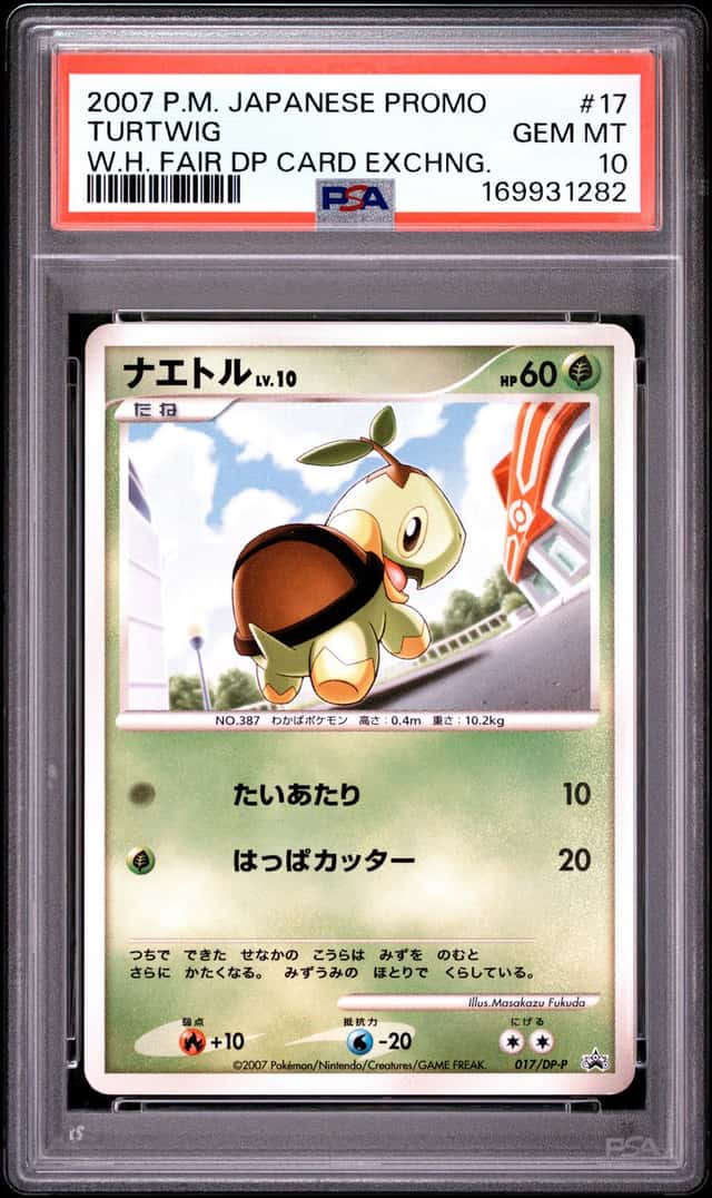Turtwig