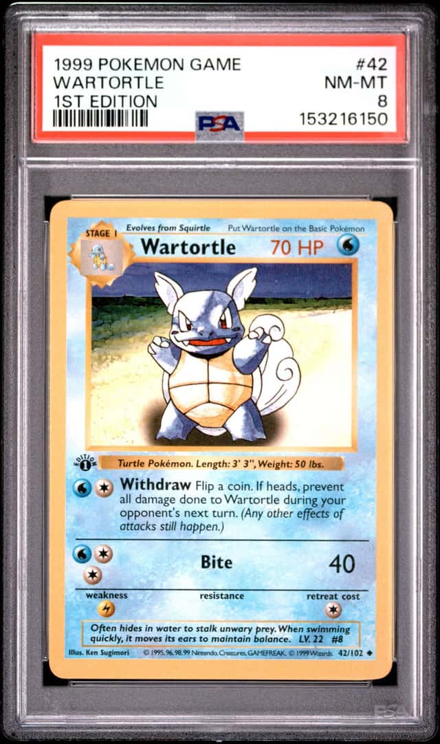 Wartortle