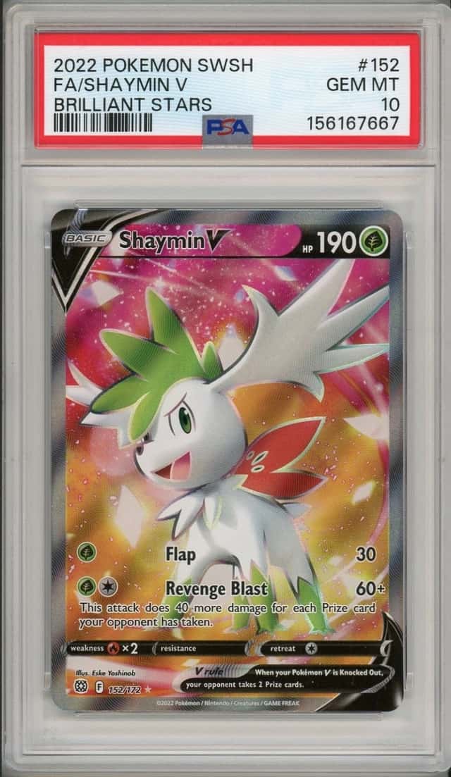 Shaymin V
