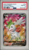Shaymin V