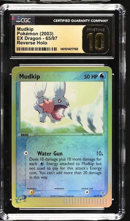 Mudkip