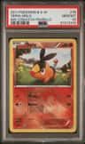 Tepig