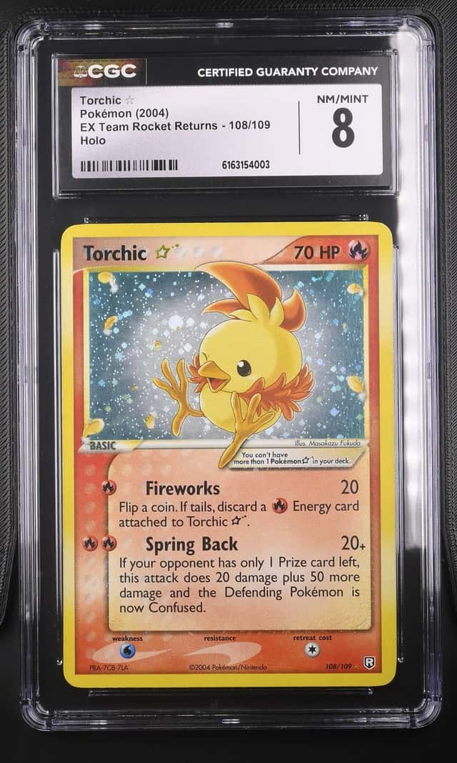 Torchic