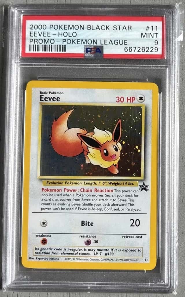 Eevee