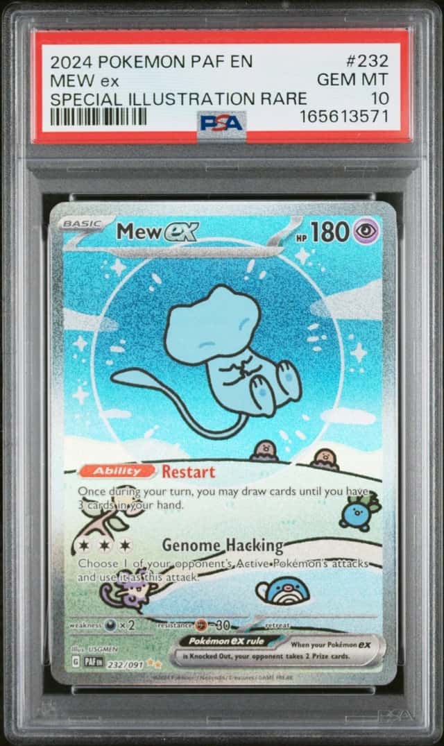 MEW ex