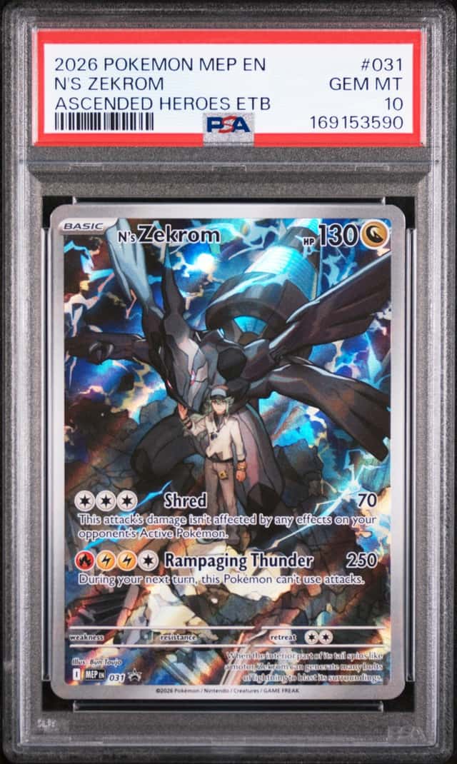 N's Zekrom