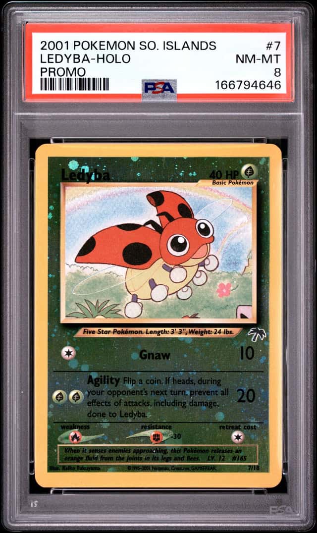 Ledyba