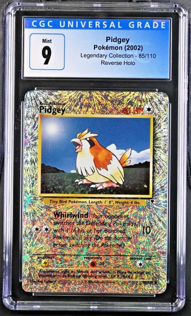 Pidgey