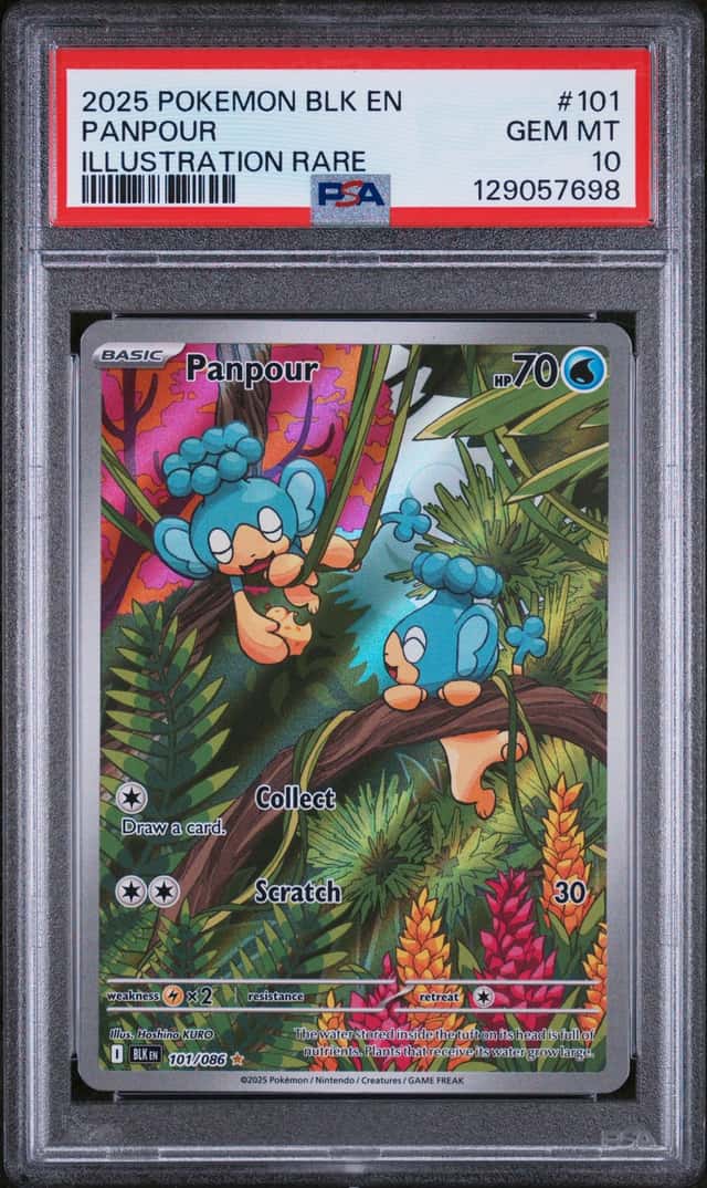 Panpour