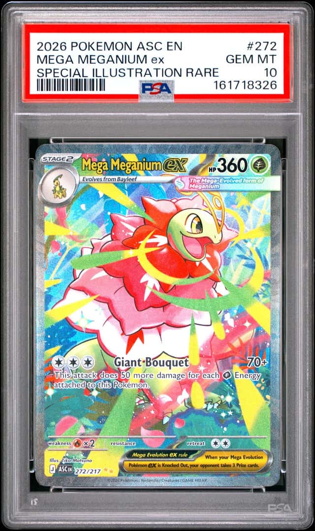 MEGA MEGANIUM ex