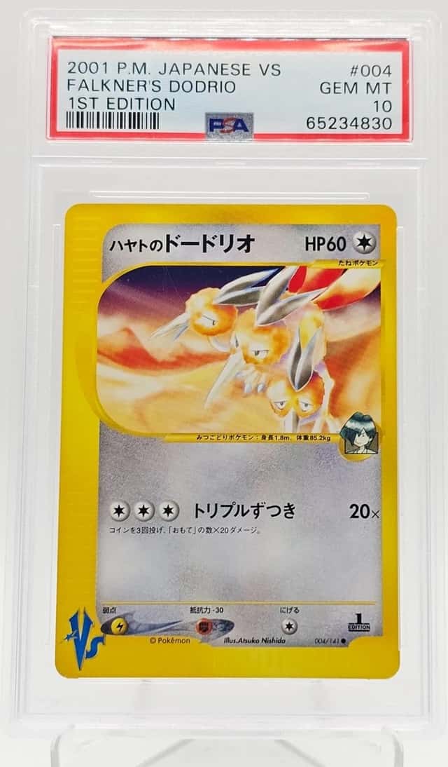 Falkner's Dodrio
