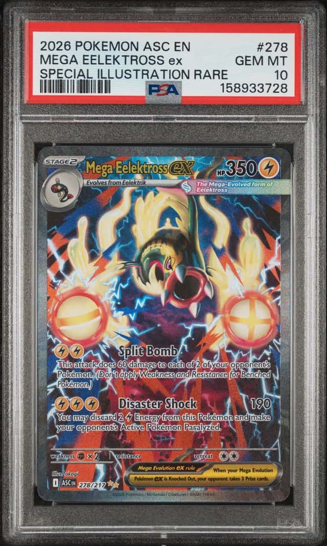 MEGA EELEKTROSS ex