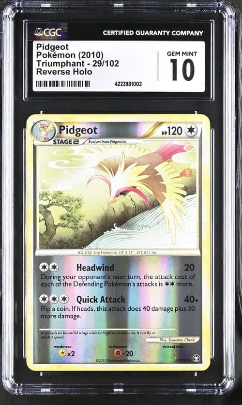 Pidgeot