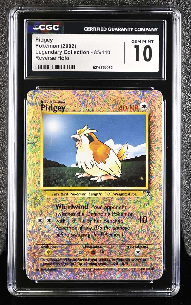 Pidgey