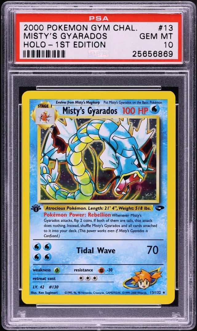 Misty's Gyarados