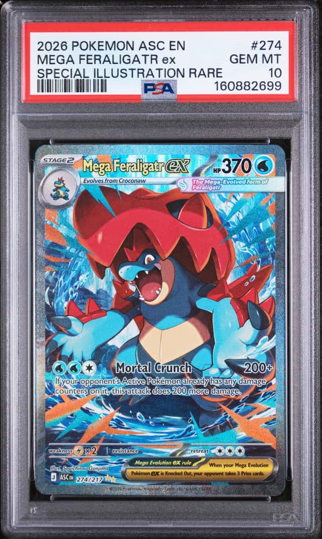 MEGA FERALIGATR ex