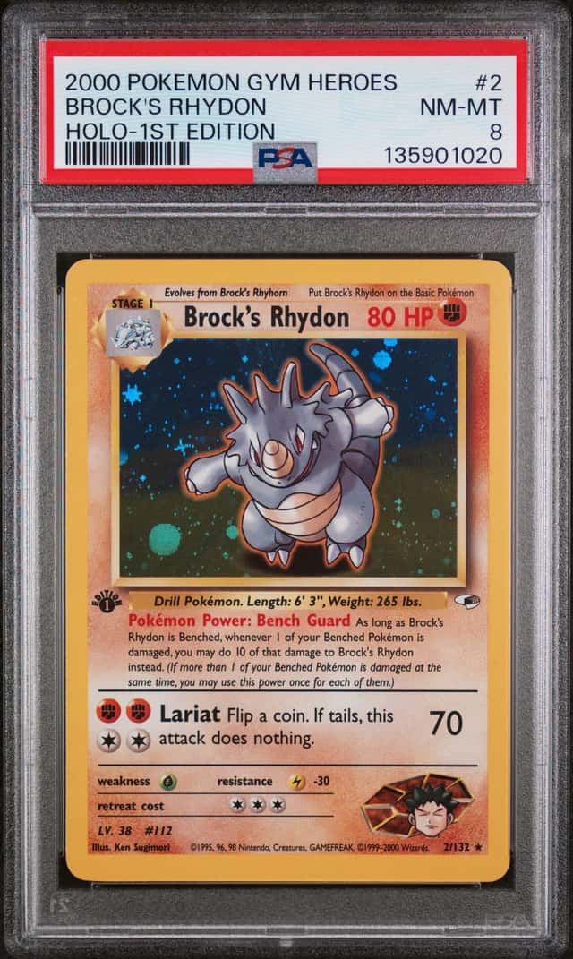Brock's Rhydon