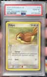 Pidgey