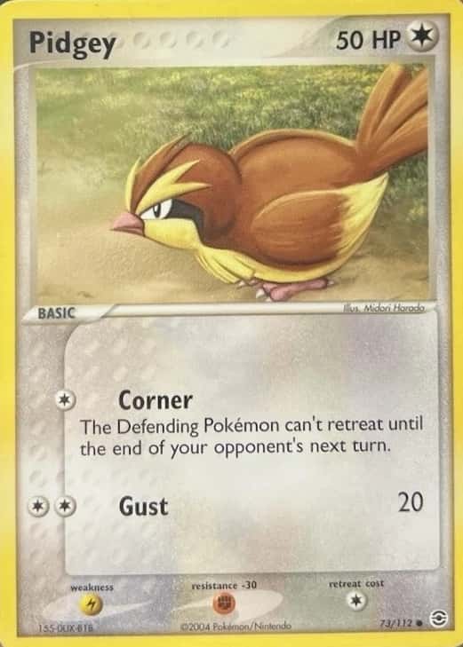 Pidgey