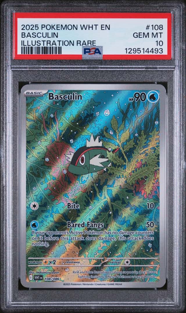 BASCUlin