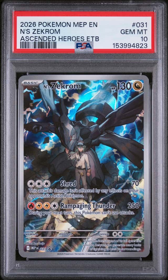 N's Zekrom