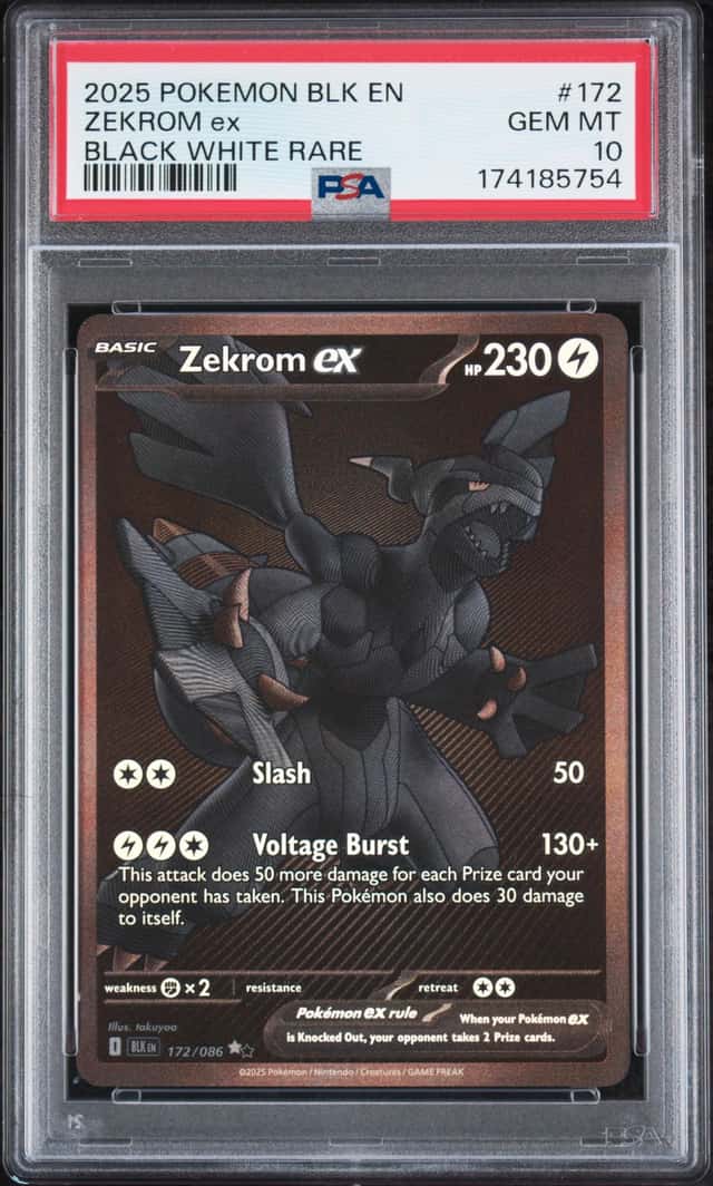 ZEKROM ex