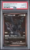 Zekrom Ex