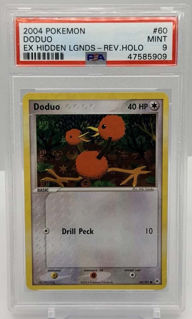 Doduo