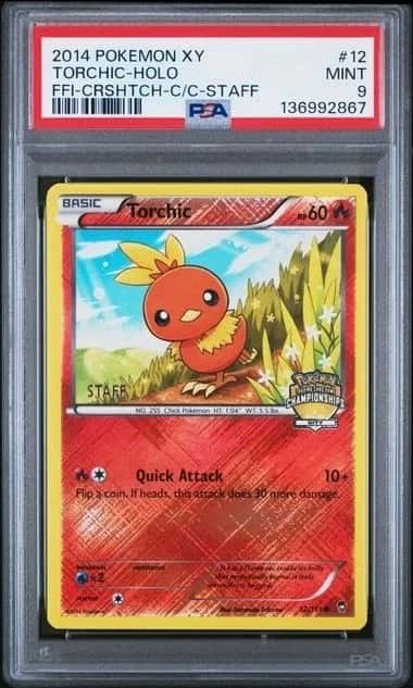 Torchic