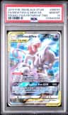 Mewtwo & Mew Gx