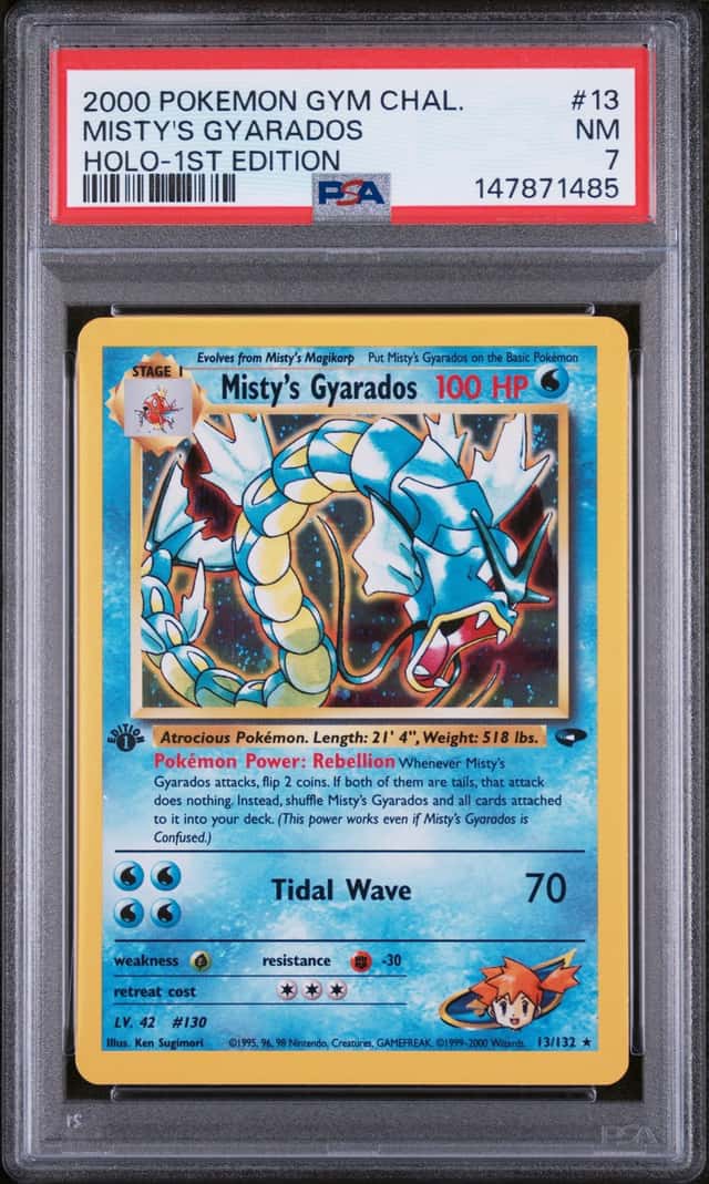 Misty's Gyarados