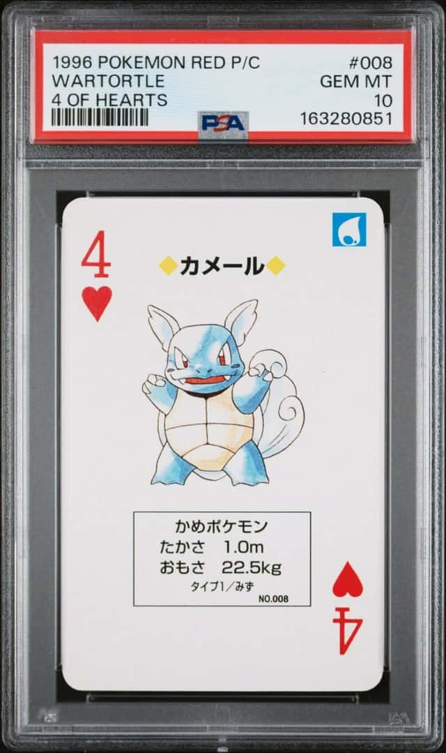 Wartortle