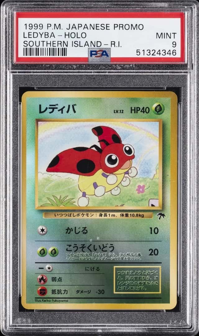 Ledyba
