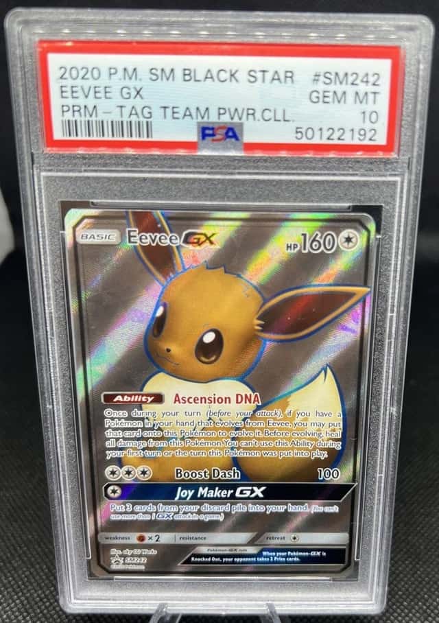Eevee GX