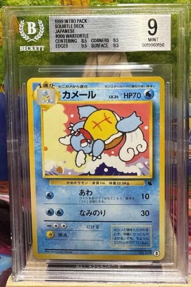 Wartortle (03)