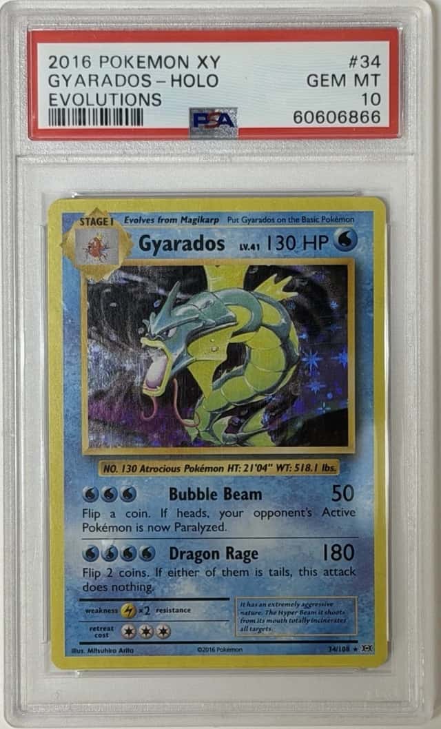 Gyarados