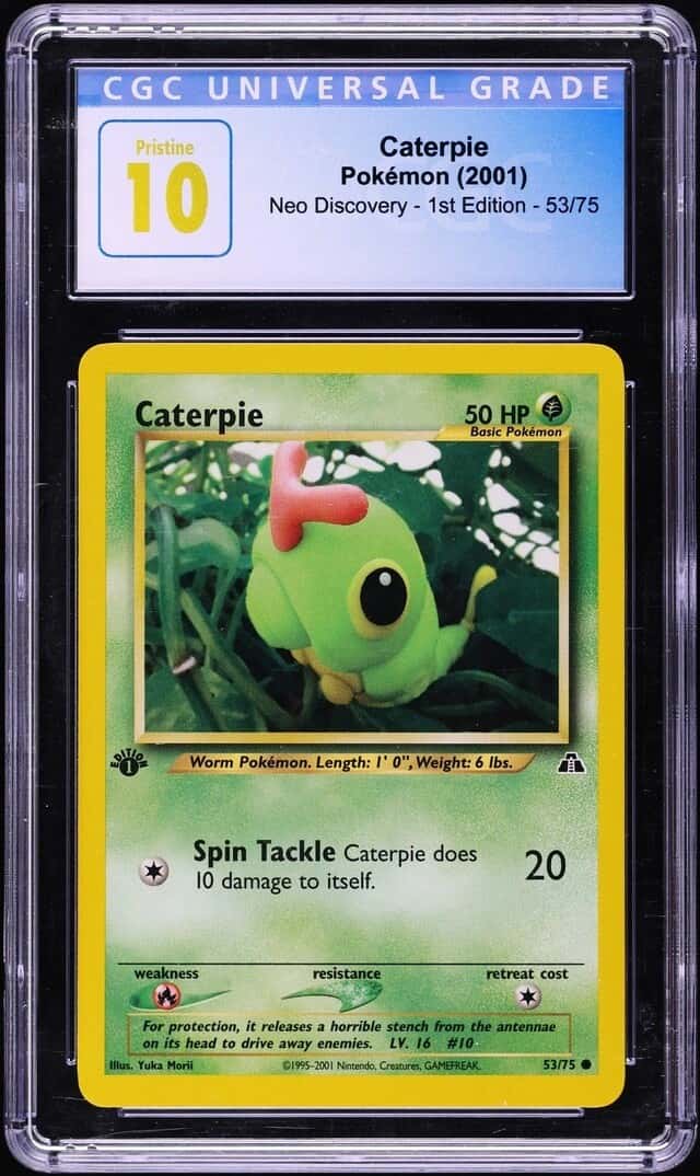 Caterpie