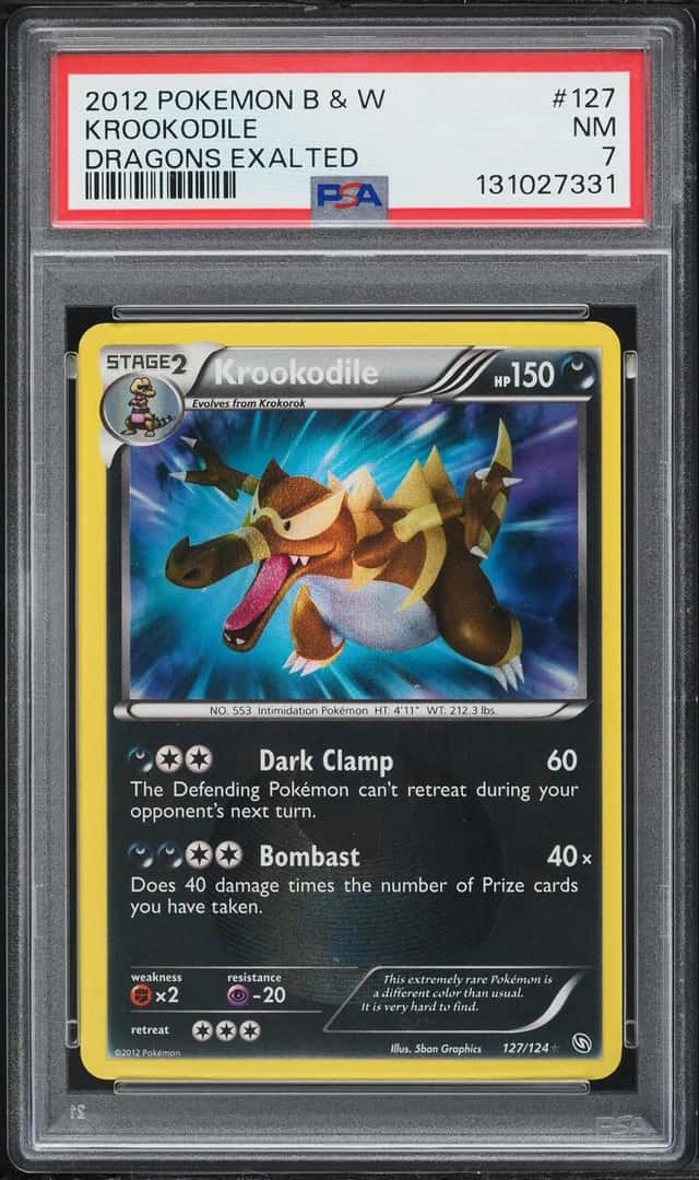 Krookodile