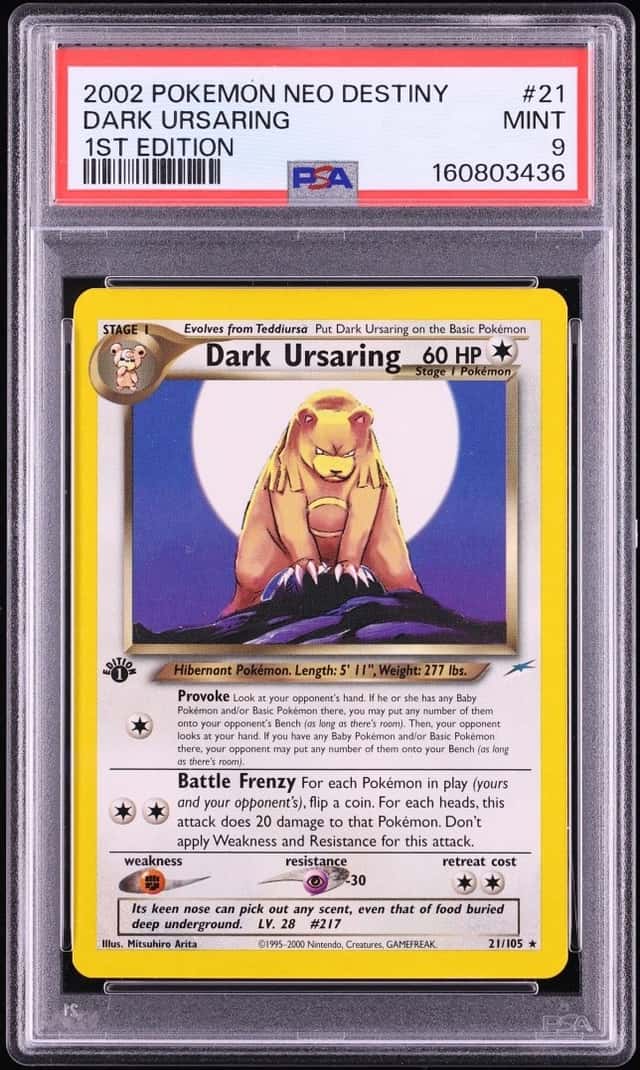 Dark Ursaring
