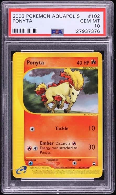 Ponyta
